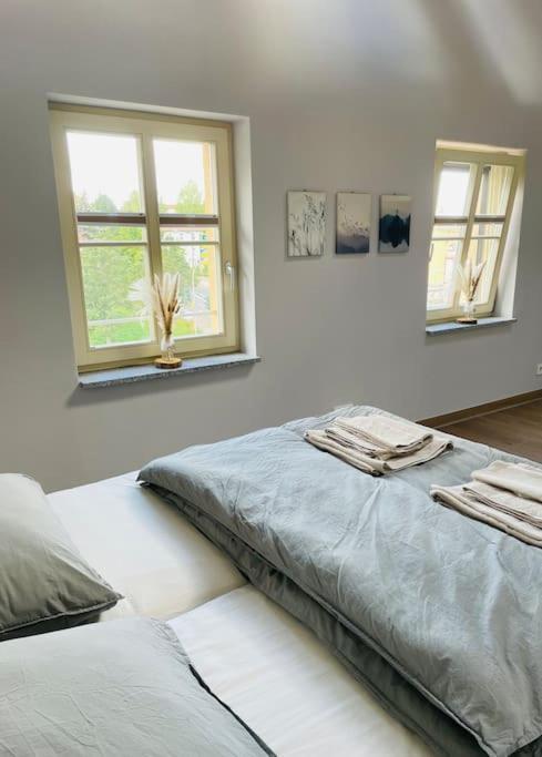 Traumvilla Im Herzen Hainichens Exteriér fotografie
