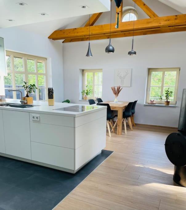 Traumvilla Im Herzen Hainichens Exteriér fotografie