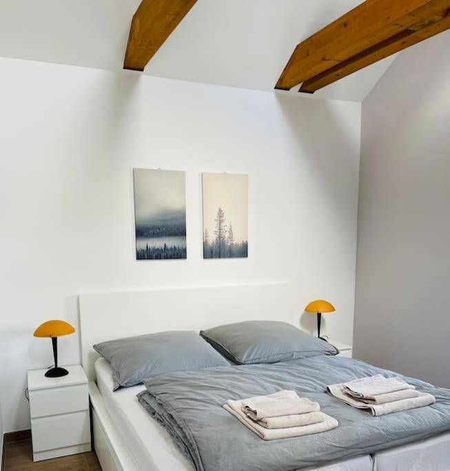 Traumvilla Im Herzen Hainichens Exteriér fotografie